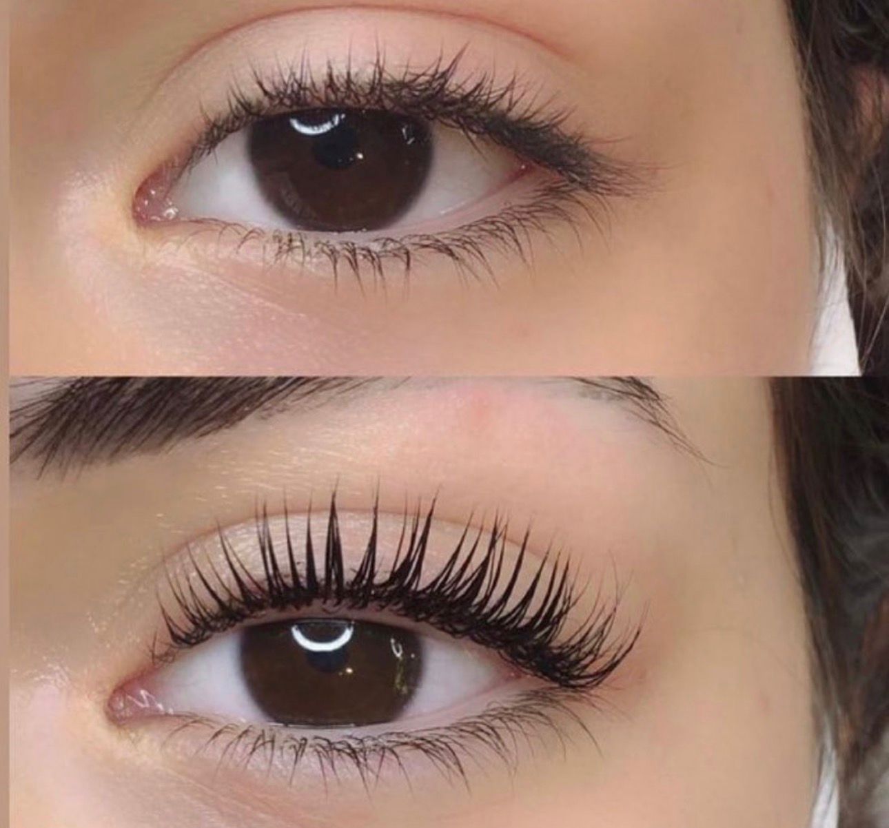 Lash Lift & Tint