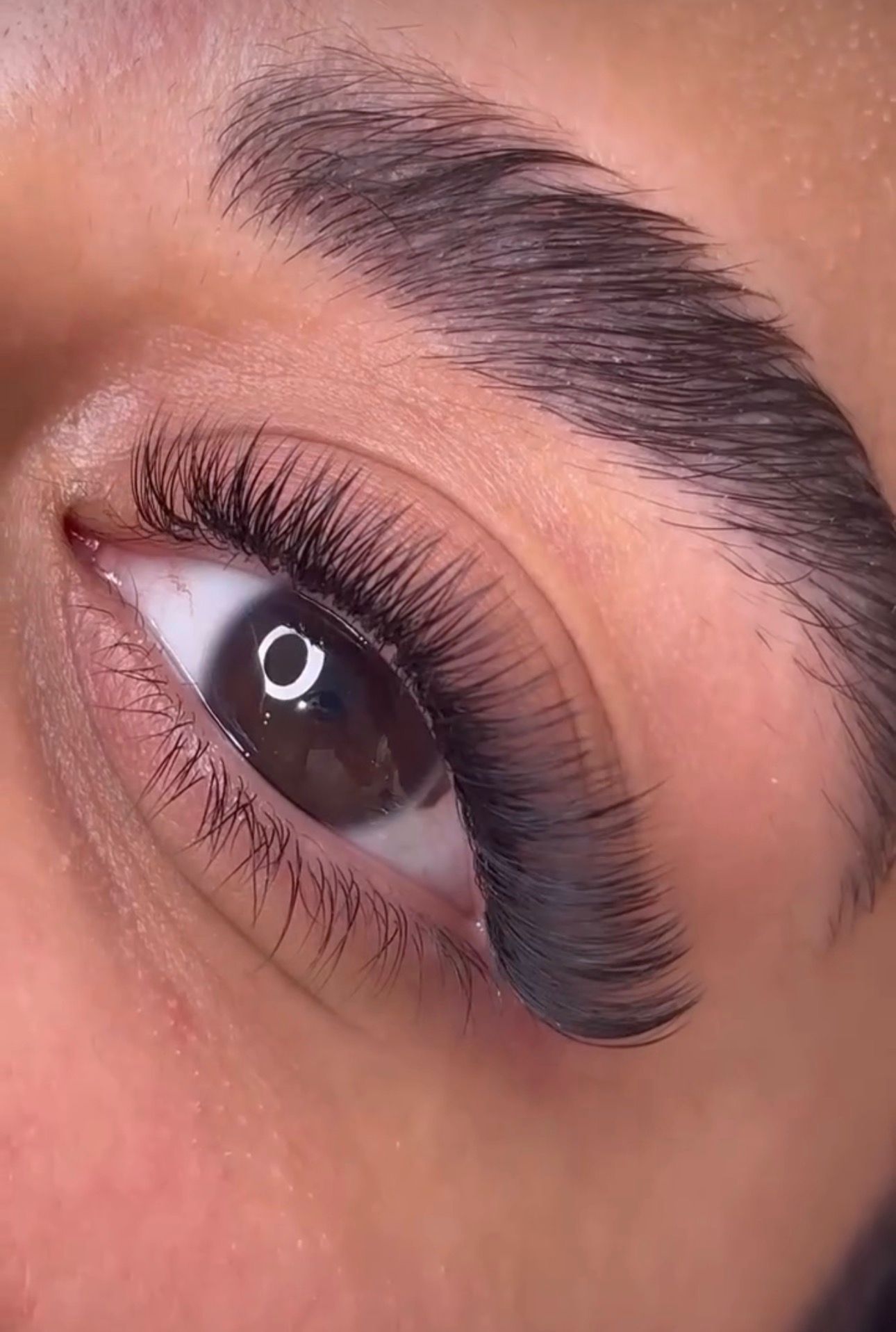 Russian volume lashes by LashMash Beauty
