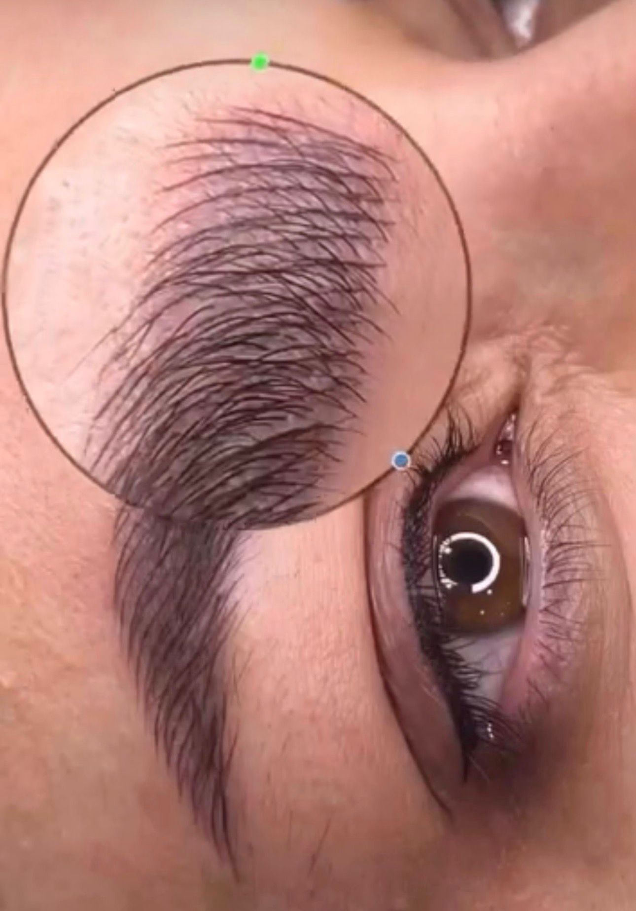 Microblading & Powder Brows